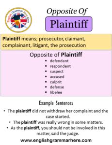 antonym for plaintiff|what is the opposite of traditional.